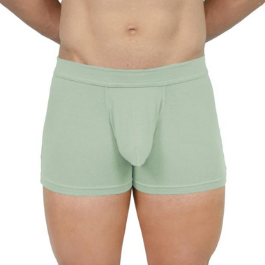 Obviously EliteMan - Boxer Brief 3 inch Leg (Mint, X-Large)